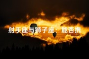 射手座与狮子座：能否携手共舞？