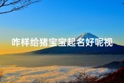 咋样给猪宝宝起名好呢视频(猪宝宝起什么名好)