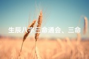 生辰八字三命通会、三命通会时辰吉凶速查对照表揭秘