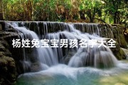 杨姓兔宝宝男孩名字大全四个字