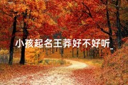 小孩起名王莽好不好听_《王莽：小孩名字新风尚，好听又独特》