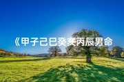 《甲子己巳癸亥丙辰男命八字解析》