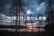 90年2月2是什么命格,90年2月2日出生的人是什么命格？