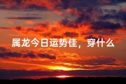 属龙今日运势佳，穿什么颜色最旺？