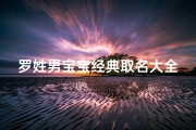 罗姓男宝宝经典取名大全—罗氏男宝宝经典取名：传承家风，智慧成长