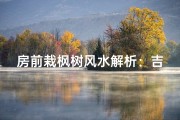 房前栽枫树风水解析：吉凶与否？