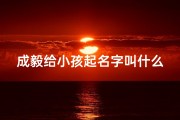 成毅给小孩起名字叫什么_成毅这个名字是自己取的？