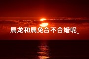 属龙和属兔合不合婚呢_属龙属兔婚配吉凶：相合还是相冲？