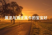 属龙与鸡生属牛的宝宝好吗