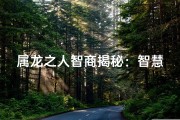 属龙之人智商揭秘：智慧非凡之谜