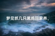 梦见抓几只黑鸡回家养、梦见抓几只黑鸡回家养了