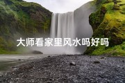 大师看家里风水吗好吗