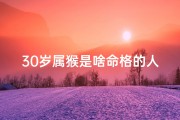 30岁属猴是啥命格的人(30岁属猴吗)