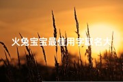 火兔宝宝最佳用字取名大全,火兔好吗