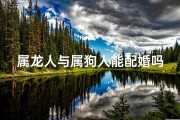 属龙人与属狗人能配婚吗