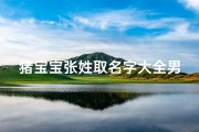 猪宝宝张姓取名字大全男—《猪宝宝张姓男孩名字大全：寓意吉祥，智慧成长》