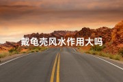 戴龟壳风水作用大吗