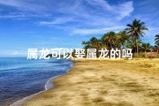 属龙可以娶属龙的吗