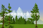 小孩麻将取名大全四个字-麻将小孩子是什么意思