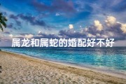 属龙和属蛇的婚配好不好,属龙跟属蛇的婚配好吗