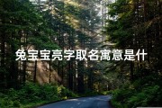 兔宝宝亮字取名寓意是什么意思—《兔宝宝亮字取名，寓意美好寓意何在？》
