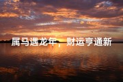 属马遇龙年，财运亨通新篇章