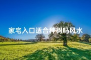 家宅入口适合种树吗风水好吗