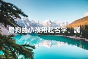 属狗的小孩用起名字、属狗宝宝取名：萌动犬界，智慧星辉