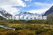 24年腊月龙宝宝男孩取名