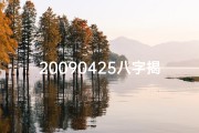 20090425八字揭秘：命运轨迹大解析