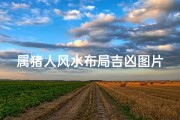 属猪人风水布局吉凶图片、属猪人风水布局吉凶图解：揭秘家居好运秘籍
