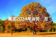 属龙2024年运势：龙年幸运色揭秘