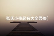 张氏小孩起名大全男孩(《张氏男孩起名大全：精选佳名助成长》)