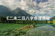 《二未二丑八字命理揭秘：命运之谜深度解析》