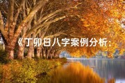 《丁卯日八字案例分析：揭秘100年命运奥秘》
