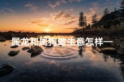 属龙和属狗做生意怎样—属龙属狗联手，今日开业旺翻天