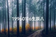 19960116生辰八字_19960116八字揭秘：命运轨迹与人生奥秘