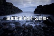 属龙和属羊配什么绿植-属龙属羊风水宝：哪种绿植最相配？