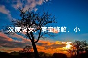 沈家虎女，萌宝降临：小名揭晓，寓意美好