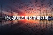 给小孩起名用林字可以吗;用林字取名的男孩名