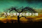 九华山导游的价格多少钱;九华山必游寺庙：探寻神秘古刹的宁静之美