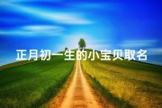 正月初一生的小宝贝取名