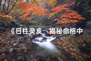 《日柱癸亥：揭秘命格中的神秘力量》