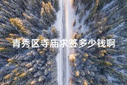 青秀区寺庙求签多少钱啊_青秀区寺庙求签价格揭秘：收费标准大公开