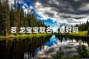 茗 龙宝宝取名寓意好吗—《茗龙宝宝取名寓意：吉祥如意的美好寓意》