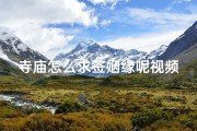 寺庙怎么求签姻缘呢视频(《寺庙求签姻缘秘法：揭秘求签全过程》)