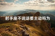 射手座不说话要主动吗为什么,射手座不说话，主动还是等待？