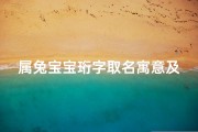 属兔宝宝珩字取名寓意及含义_属兔宝宝珩字取名寓意及含义是什么