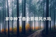 家中种丁香会影响风水吗
