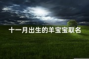 十一月出生的羊宝宝取名指南与吉祥好名推荐